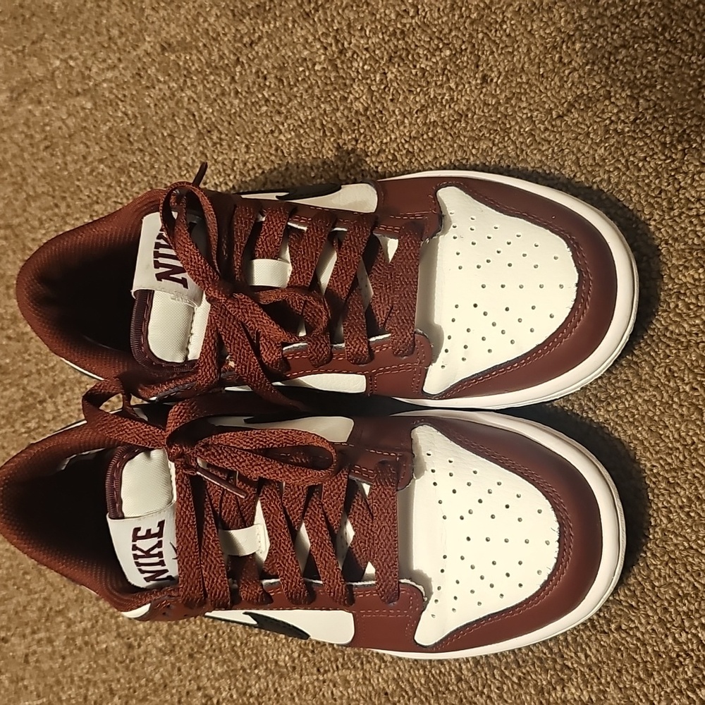 Nike dunks (big kid)